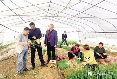 邯郸滏东现代农业产业园“亩产”为何那么高？化肥虽非全部，但分寸间见真章